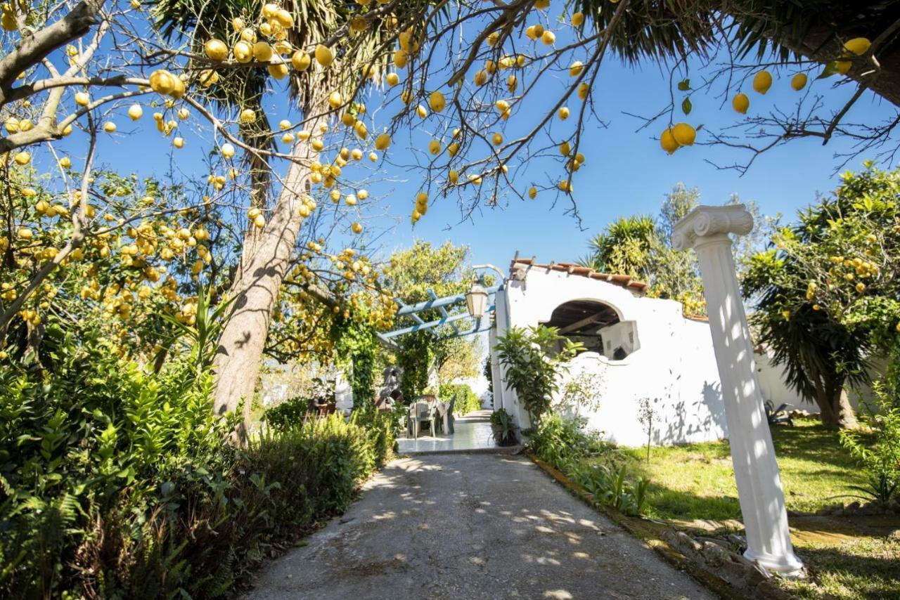Le Querce Villa Procida Exterior photo